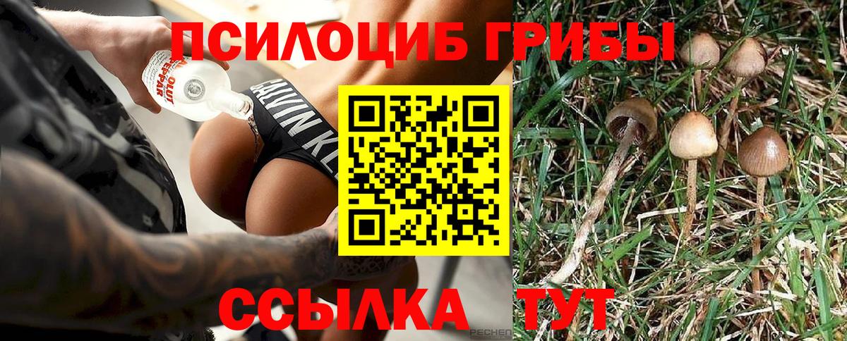 Псилоцибиновые грибы ЛСД  Вход с VPN  Галлюциногенные грибы Cubensis  Щёлково 