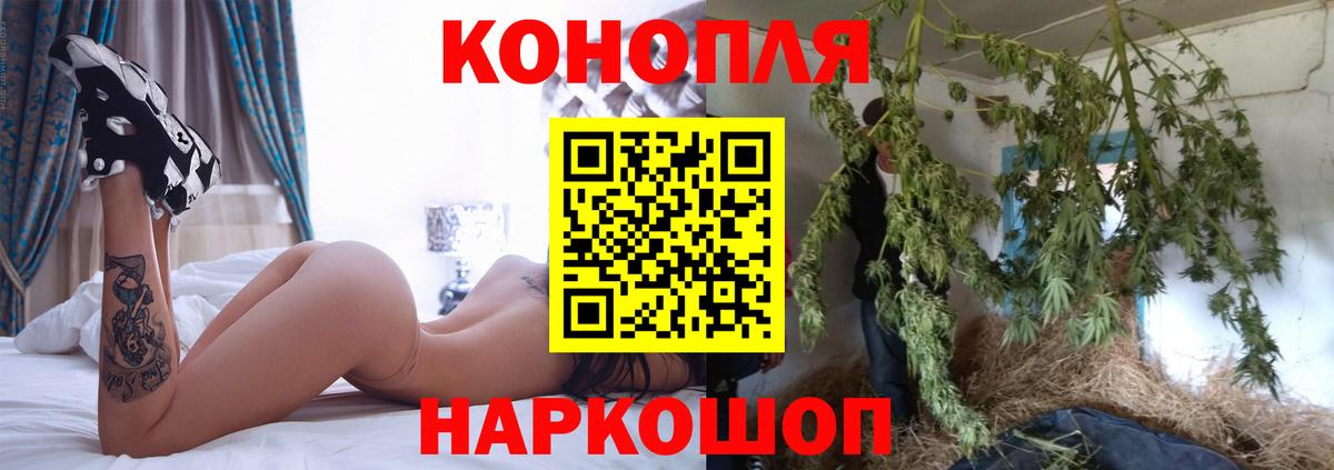 Щёлково  Бошки Шишки конопля  Вход с VPN  Конопля конопля  Шишки марихуана семена 